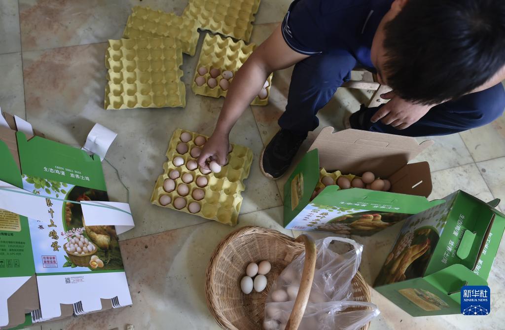 宝运莱手机版pt客户端